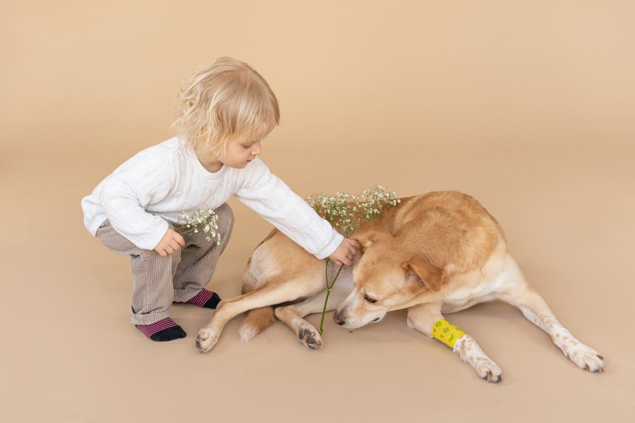 kindje dat op haar hurken zit bij een hond met een gewonde poot